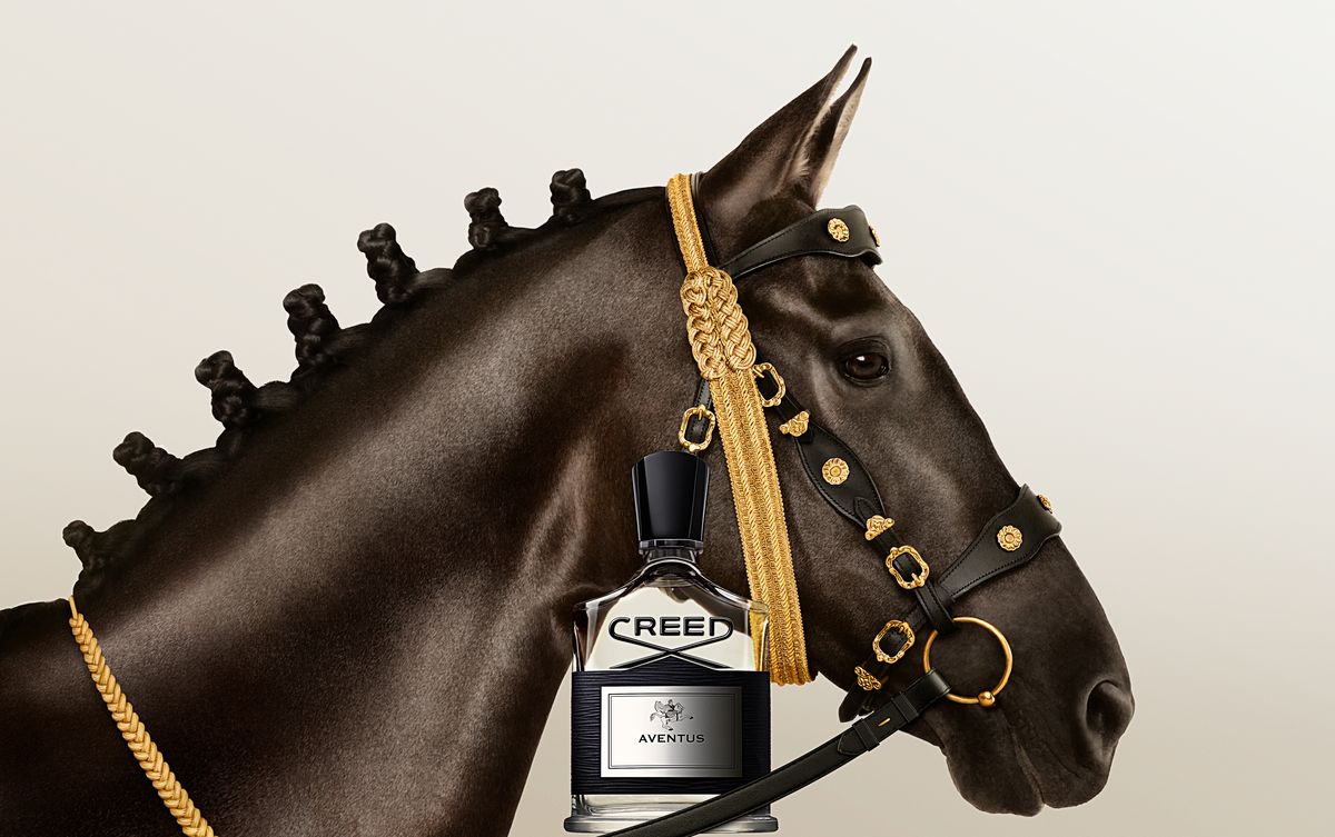 Aventus: Huyền thoại mùi hương nam tính của Creed