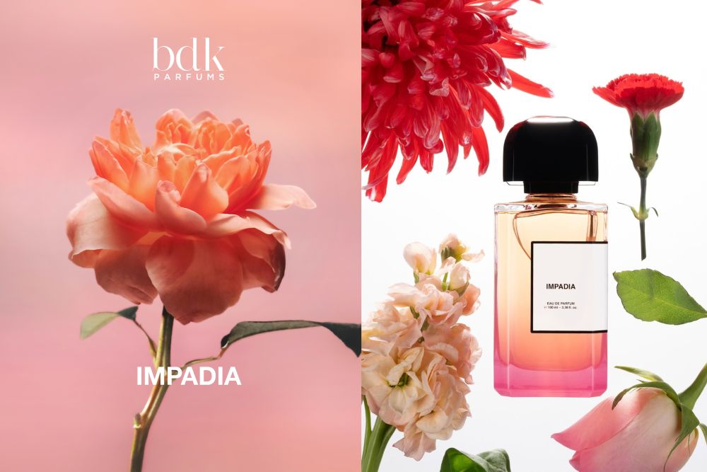 Impadia – Hình ảnh Paris dưới góc nhìn nghệ thuật